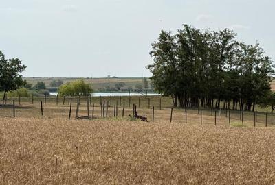 Teren intravilan Miersig, vedere la lac. 12,5 E/mp neg. Comision 0 - 4