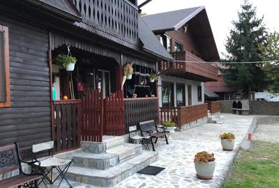 Proprietate superba,compusa din 3 cabane,1175 mp teren.TRANSFAGARASAN - 5