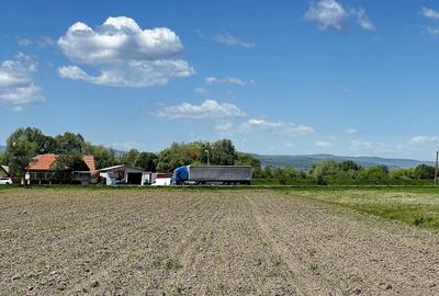 Teren Construcții intravilan de 6772 mp, în Prejmer