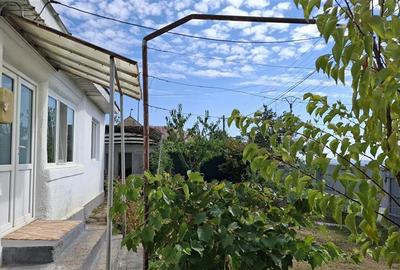 Casa Panciu, 870 mp teren curti constructii - 2