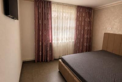 Casa renovata anul trecut  cu 1100 mp de teren in localitatea Les - 8