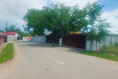 Cernica-Sat Posta, 600 m.p., toate utilitatile, ingradit,ideal investitie. - 2