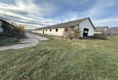 Platforma industriala 27.000mp - Racova - Buhusi - 5