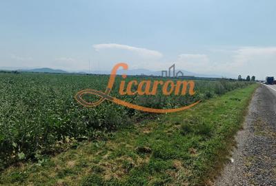 Teren intravilan 3,85 ha,Brasov DN 13 langa MILLE, OLYMPUS, ARKADA - 2