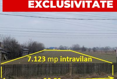 Teren Construcții intravilan de 7123 mp, în Central