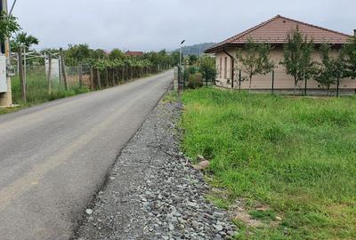 Teren Intravilan de Vânzare – Tăuții-Măgherăuș, Str. 68 - 2