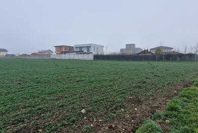 Ovidiu- Poiana, teren intravilan ideal pentru constructie case - 1