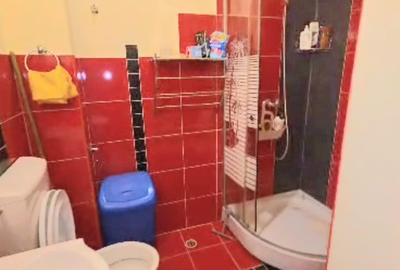 Apartament 42 mp, central, mobilat, utilat, CT proprie - 4