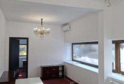 Vila reprezentativa, Clinica,Birouri, Showroom Premium , Ultracentral, Romana - 5