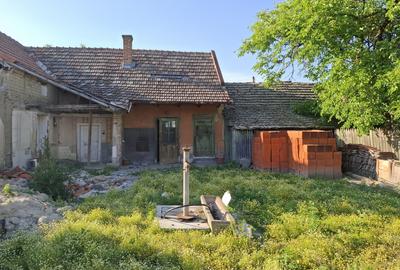 Casa pentru demolare/renovare in Nadlac cu teren 616mp - 8