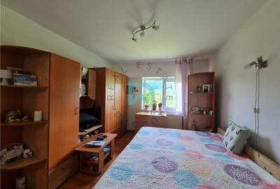 Garsoniera Noua, Brasov - 16
