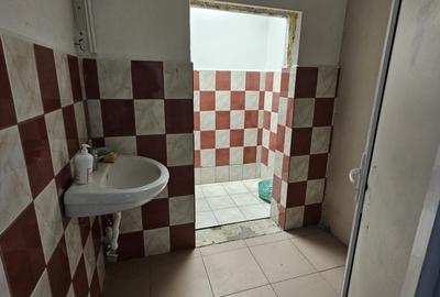 Vanzare hala industriala 5300mp, investitie sau uz propriu Sos. Giurgiului - 6