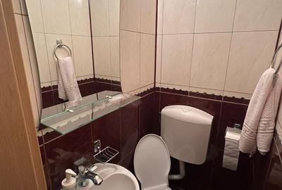 Titan Barajul Bistriței, metrou, parc IOR, centrala, 2 bai, renovat, mobil/util - 4