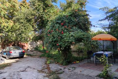Apartament cu curte proprie Central - Ciuperca - 11