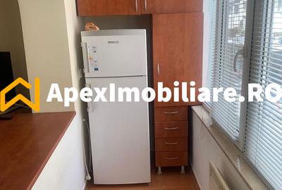Garsoniera de inchiriat Cismigiu București | ApexImobiliare.ro - 5