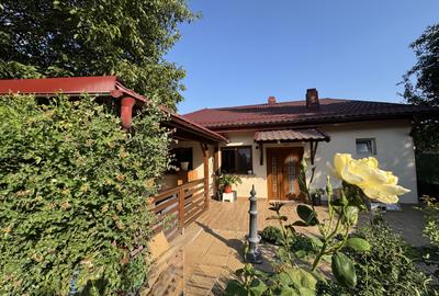 Casa parter, renovata, mobilata, gradina amenajata, str Petofi Sandor-Dumbravita - 39