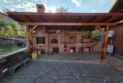 Casa individuala de vanzare, D+P+M, 160 mp, teren 250 mp, zona Criseni - 12