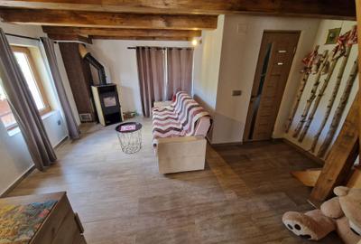 Cabana noua la Rasca cu teren de 6000 mp - 8