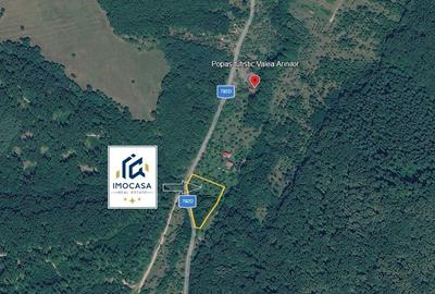 Teren de vacanță 5600 mp cu cabană, Utilitaiile Căsoaia jud Arad - 8
