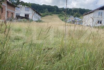 Teren Construcții intravilan de 5500 mp, în Exterior Sud