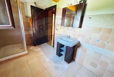 Casa de vacanta de închiriat  Cornetu -Mihailesti - 17