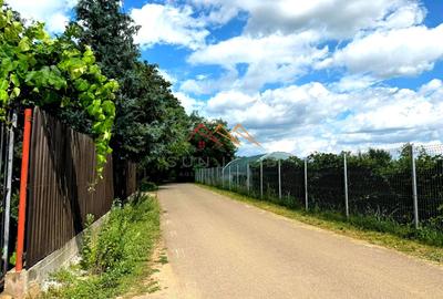 CASĂ NOUĂ | 4 CAMERE | SISTEM FOTOVOLTAIC | URLETA, ZONĂ VERDE - 16