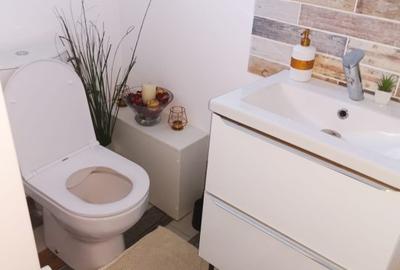Vanzare/inchiriere duplex Trivale, mobilat, teren 300mp - 8
