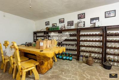 Oportunitate Rară – Vilă pe Malul Lacului Snagov | Piscina | Ponton | COMISION 0 - 56