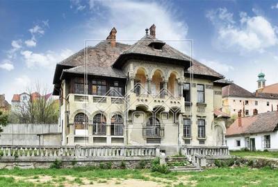 Casă individuală cu 17 camere în Central