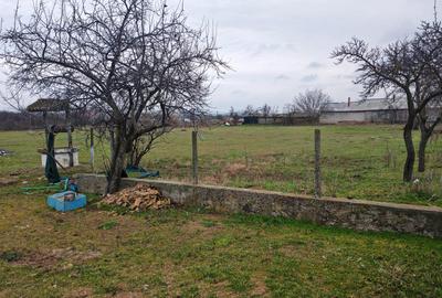 Casă bătrânească + Teren generos 4.208 mp – Cerna, Tulcea (Toate utilitățile) - 8