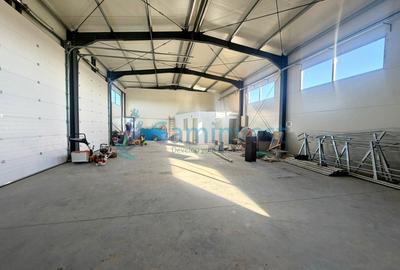Spațiu industrial, de 250.00 mp, în Leș