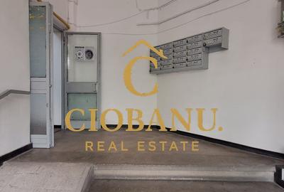 Apartament de inchiriat zona Calea Bucuresti-Piata Mare - 7