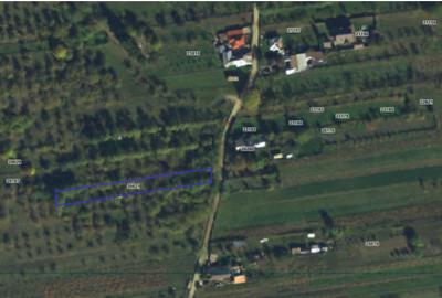 Teren agricol extravilan de 1000 mp, în Măneciu-Pământeni