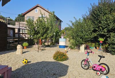 Proprietate Deosebita 2019 Palazu Mare  P+1+M +CASA  NR 2 - 2 APART 1400mp Teren - 6
