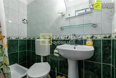 Vila/Pensiune D+P+E+M cu multiple functionalitati: locuit, HoReCa, turism, camin - 35