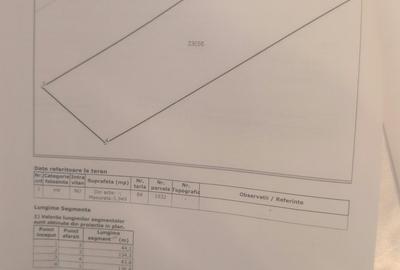 Vanzare vita de vie in sat Dealu Viei - Buzau Comision 0% - 7