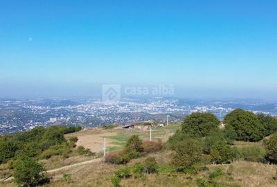 Teren 10.000mp plan, 350m altitudine | Barnova-Paun | POT 35%, CUT 0.9 - 4
