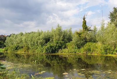 Teren intravilan cu deschidere la lac Snagov – 1.976 mp, utilități - 1