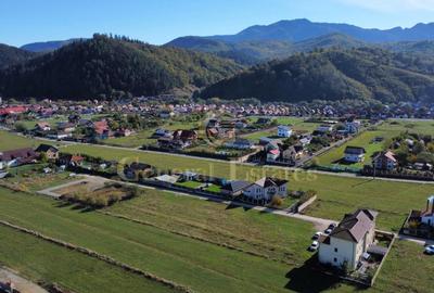 Vinzare teren intravilan  Râșnov, Brașov - 3
