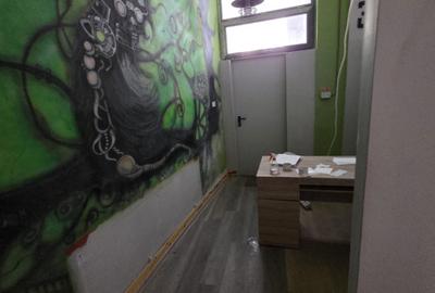 SPATIU COMERCIAL| 227 MP UTILI | ULTRACENTRAL| TERMEN LUNG| - 16