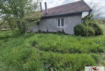 Vanzare casa in Vintu de Jos - Parau lui Mihai - 8
