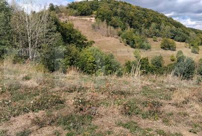 Teren Construcții de 1500 mp, în Râmeț