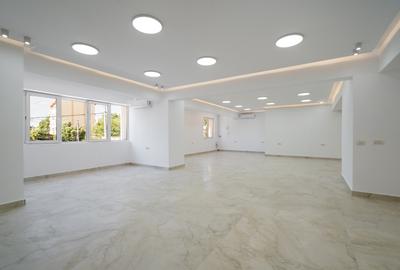 Spațiu comercial – 275 mp Colentina, stradal, vad - Direct Proprietar - 18