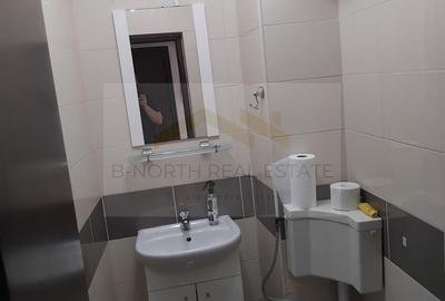 Apartament 3 camere de închiriat | Piața Unirii – Fântâni | Ideal birou - 12