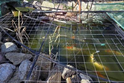 Casă cu etaj deosebită în Chișineu-Criș – un cămin creat cu suflet - 28