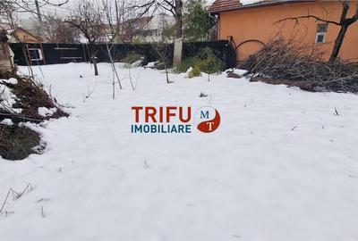 Teren Construcții intravilan de 741 mp, în Cetate
