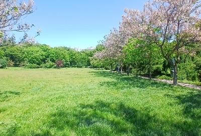 Apartament cu 3 camere în Ștefan cel Mare