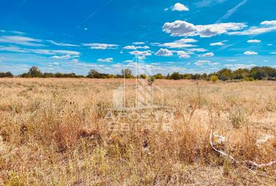 Teren Intravilan Zona Bujac Cartier nou spre Cadas - 2