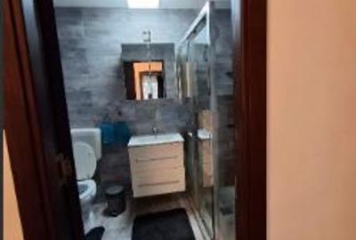 Apartament 2 Camere,Dristor Metrou,bl.1984,DECOMANDAT,Amenajat,PET FRIENDLY - 2
