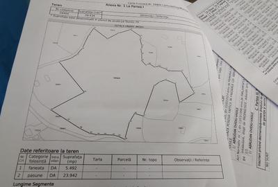 Teren Construcții intravilan de 10000 mp, în Tranișu
